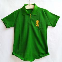 BR20691 - KAOS POLO HIJAU SIZE XL