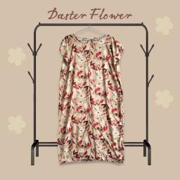 BR23037 - DASTER FLOWER COKSU