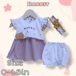 BR23533 - SET DRESS BAYI RABBIT PDM