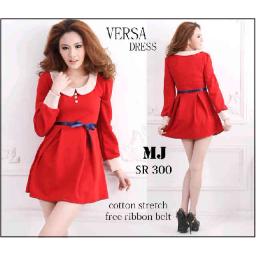 BR02770 - SR 300