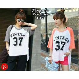 BR17481-2 - 44564 PINGUIN VINTAGE - peach