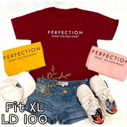 BR20320 - PERFECTION TSHIRT TUMBLR TEE SIZE XL - kunyit