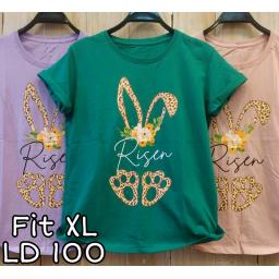 BR20919-2 - RISEN TSHIRT TUMBLR TEE SIZE XL - hijau