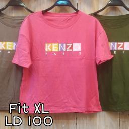 BR22417-2 - KENZ TSHIRT TUMBLR TEE SIZE XL - Fanta
