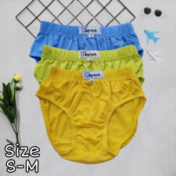 BR22505 - (3PCS) CELANA DALAM ANAK COWOK PDM - Size S