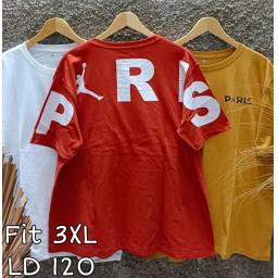 BR23424-3 - PARIS TSHIRT TUMBLR TEE SIZE 3XL - Brick Red