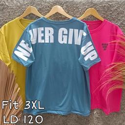 BR23427-3 - NEVER TSHIRT TUMBLR TEE SIZE 3XL - Fanta