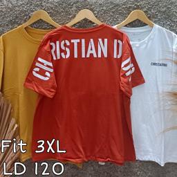 BR23430-2 - CHRISTIAN DIO TSHIRT TUMBLR TEE SIZE 3XL - Brick Red