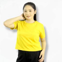 BR23763-2 - KAOS CROP TEE POLOS KUNING CERAH - Size L