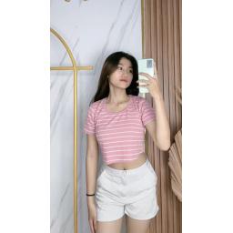 BR23805 - KAOS CROP TEE RIB KNIT SALUR PINK