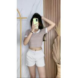BR23809 - KAOS CROP TEE RIB KNIT SALUR CHOCO