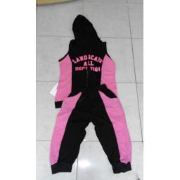 BR04133 - SET LANDSCAPE PINK