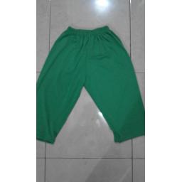 BR07349 - CELANA PENDEK HIJAU